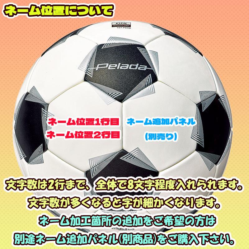 【名入れ無料】 molten モルテン トレーニング テッサー 5号球 F5K9300 サッカーボール 名入れ ネーム入れ 部活 練習 プレゼント チームの画像