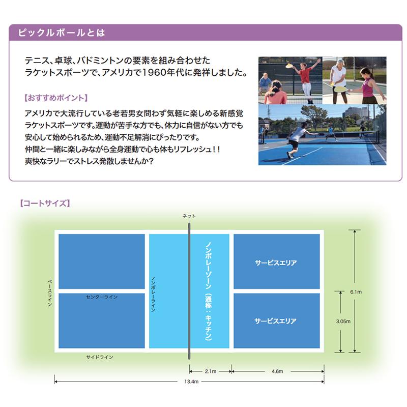 KENKO ケンコー ピックルボール 1ダース(12個入り) インドア用 アウトドア用 PB-YL PB-OL  イエロー オレンジ | NAGASE KENKO | 03