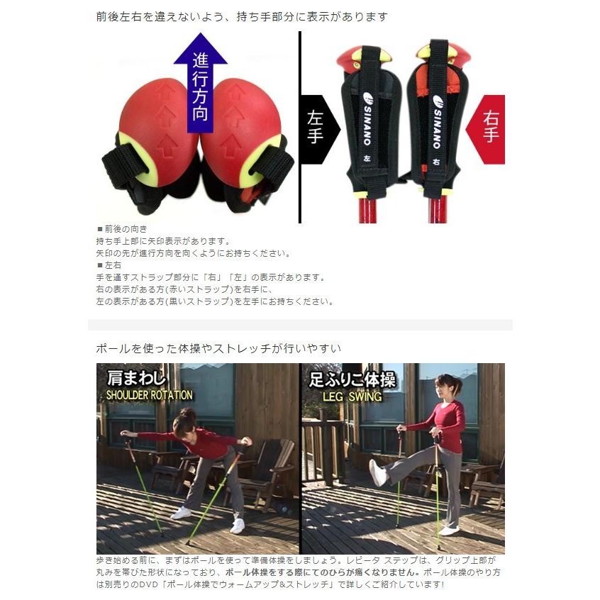 シナノ レビータ ステップ（初心者向け）ウォーキングポール 2本1組
