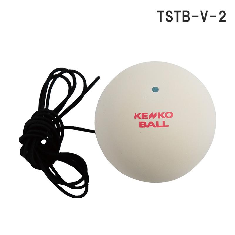 KENKO ケンコー ケンコーセルフテニスII スペアボール TSTB-V-2 練習