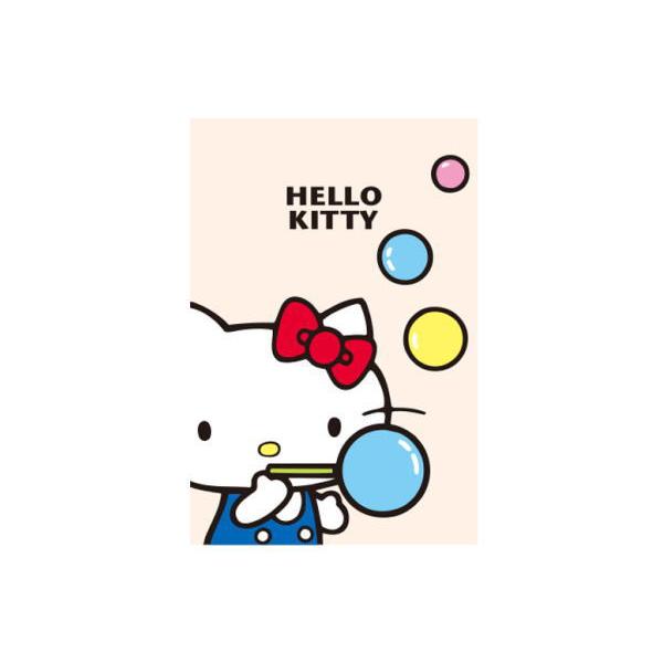 スモHKN1025 【送料無料】【サンリオキャラクターズ】ポストカード