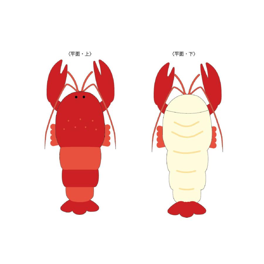 マル0625019500 【オリジナル】マーメイドブランケット【ロブスター