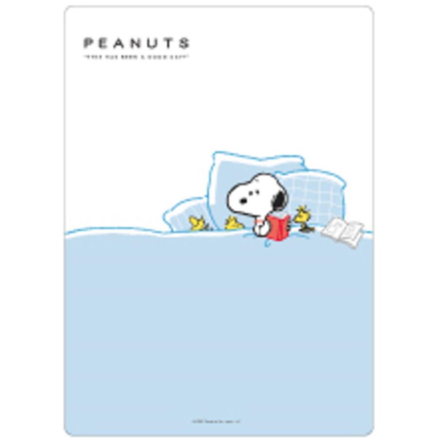クラ132064 10枚入り セット セット商品 スヌーピー SNOOPY 下敷き