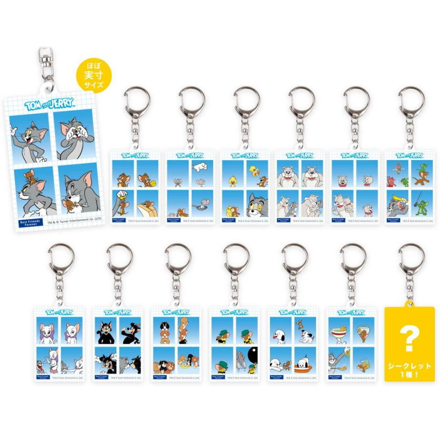 ティセット 【14個セット】【セット】【セット商品】【トムとジェリー