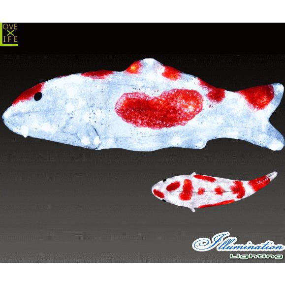 ACRFISH-CRW【照度】鯉【紅白】【コイ】【錦鯉】【サカナ】【魚肉】【日本】【毛の荒物】【毛の荒物】【立体】【3Ｄ】【工芸】【L その他テレビ、アニメ、キャラクターグッズ-楽器、手芸、コレクション-テレビ、アニメ、キャラクターグッズ