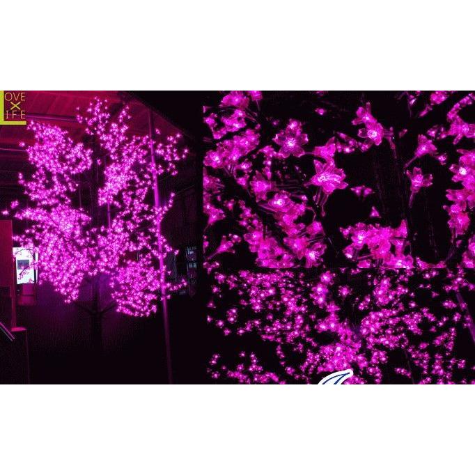 8zak740【50 】【LEDライト】【大人気】LED さくら 3M【桜】【木】実物