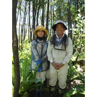 交配用ミツバチ 女王有2枚群 約4000匹 ミツバチ販売 中長期交配型 養蜂 ハチ 飼育 ポリネーション 産地直送 