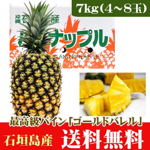 最高級パイン！ゴールドバレルパイン 7kg 4〜8玉 石垣島産 送料