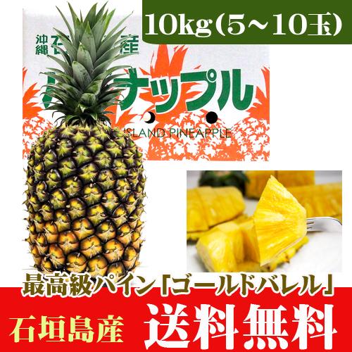 沖縄県石垣島産 ゴールドバレル 約10kg 最高級パイン！ゴールドバレル パイン 10kg5〜10玉 石垣島産