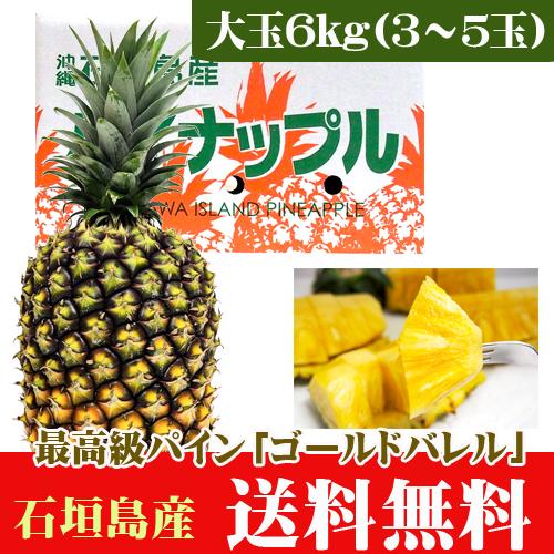 最高級パイン！石垣島ゴールドバレル大玉6kg3〜5玉 送料無料 : 果物