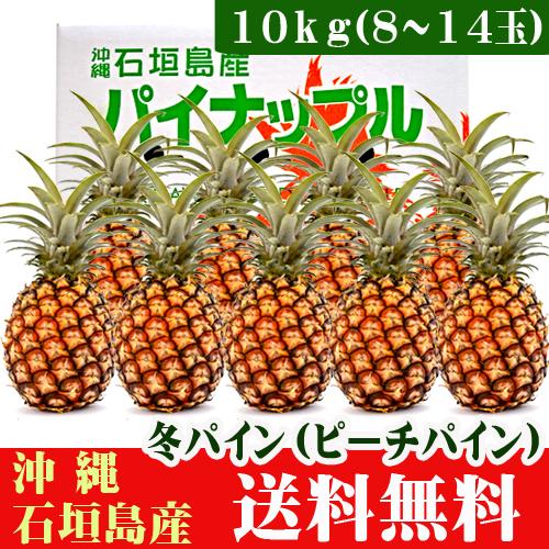 石垣島の冬パイン（ピーチパイン）10kg 8~14玉 送料無料 : 果物と島