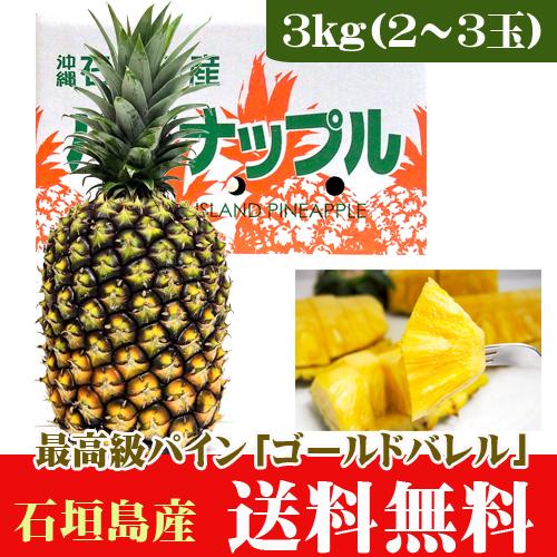 石垣島ゴールドバレルパイン 3kg 2〜3玉 最高級パイン 送料無料