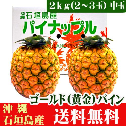 石垣島産ゴールドパイン（中玉）2kg（2〜3玉）送料無料 : 果物と