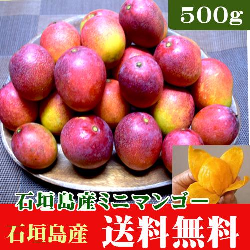 沖縄・石垣島産ミニマンゴー 500g（5〜12玉） : minimango500 