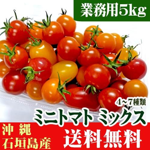 お徳用 ミニトマト ミックス ４ ７種類 業務用５ｋｇ 石垣島産 送料無料 Www Cianilugano Ch