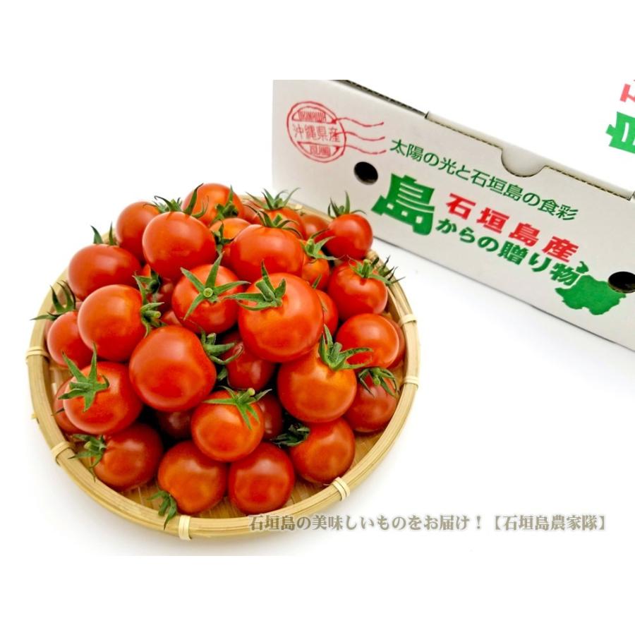 業務用 ミニトマト 千果 5kg（250〜500個）石垣島産 送料無料 : 果物