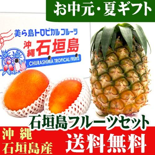 石垣島フルーツギフト３玉セット ハワイ種パイン１玉 マンゴー２玉 送料無料 Natugift3setmh 果物と島野菜の店 石垣島農家隊 通販 Yahoo ショッピング