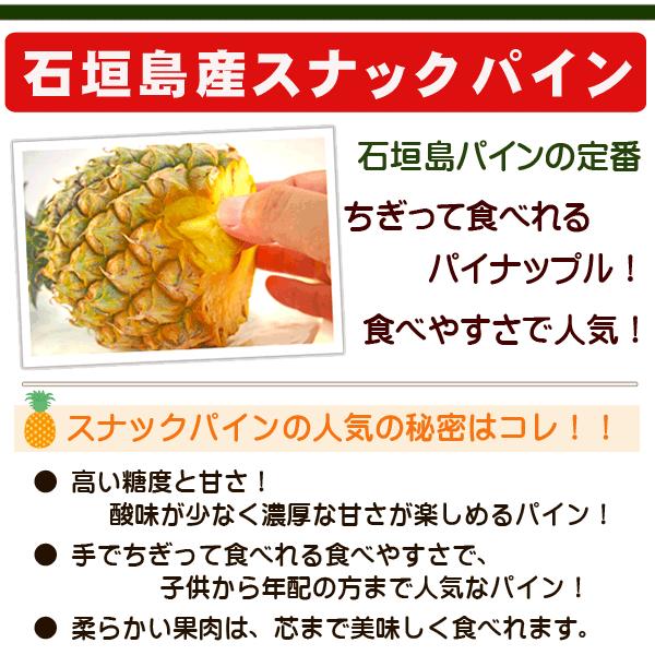 【花さん】スナックパインBIG6&ピーチパイン6玉 石垣島パインセット6kg「スナックパイン・ピーチパイン」販売/サン