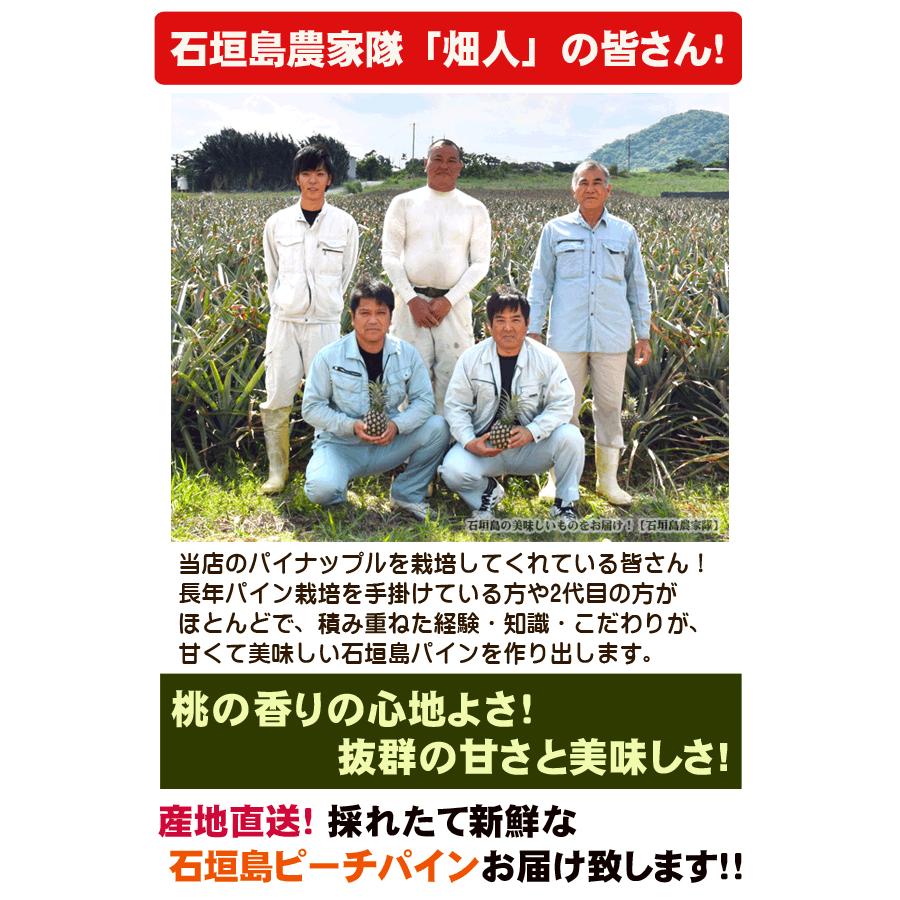 ピーチパイン 10kg 10〜15玉 石垣島産 まとめ買い・ケース特価｜ishigakijimanoukatai｜04