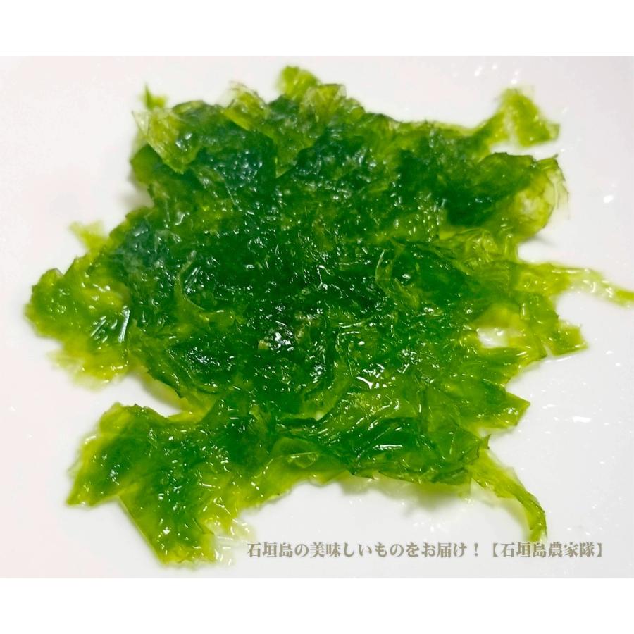 冷凍アーサ あおさ １５０ｇ 沖縄県黒島産 Reitouasa150g 果物と島野菜の店 石垣島農家隊 通販 Yahoo ショッピング