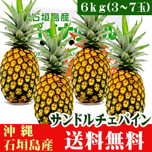 石垣島産サンドルチェ (沖農P17 ) 6kg(3〜7玉) 送料無料 : 果物と
