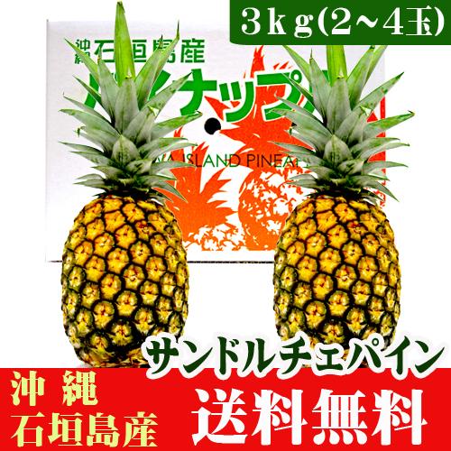 石垣島産サンドルチェ (沖農P17 ) 3kg(2〜4玉) 送料無料 : 果物と島