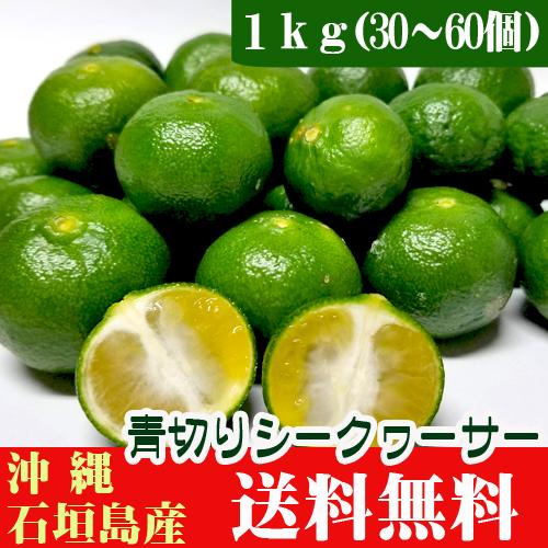 青切りシークワーサー1kg（30〜60個） 沖縄石垣島産 送料無料 : 果物と島野菜の店-石垣島農家隊 - 通販 - Yahoo!ショッピング
