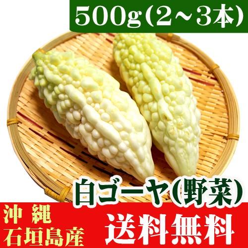 石垣島産　白ゴーヤ５００ｇ（２〜３本）　送料無料 :sirogoya500g:果物と島野菜の店-石垣島農家隊 - 通販 - Yahoo!ショッピング
