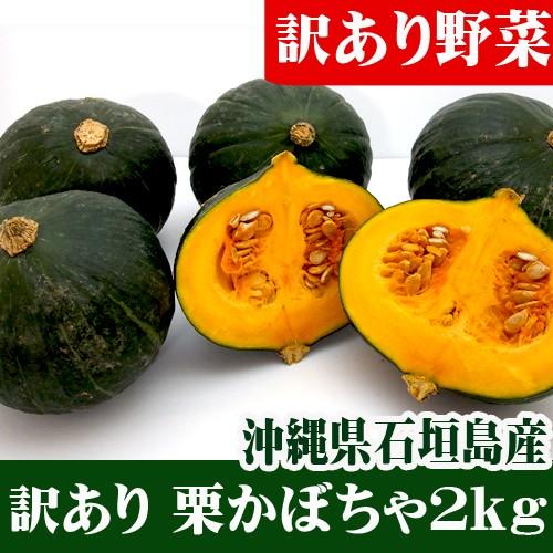 訳あり栗かぼちゃ 2kg(1〜6玉）石垣島産 : 果物と島野菜の店-石垣