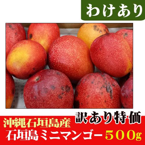 訳あり 石垣島産ミニマンゴー５００ｇ Segurosaurora Com