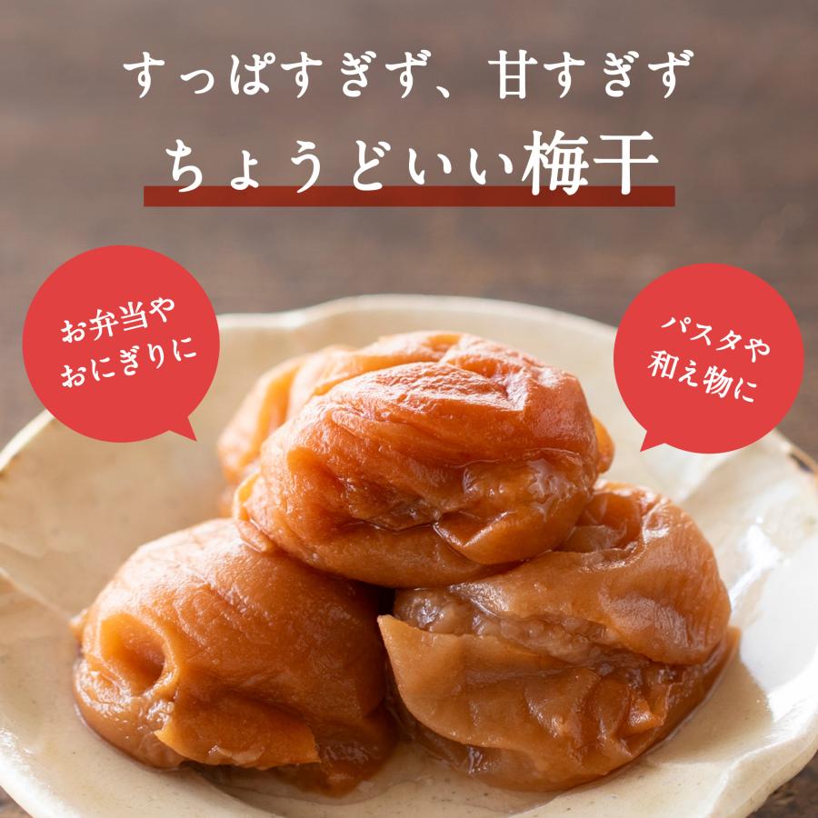 グルメ紀州南高梅 送料無料 こく旨梅干つぶれ梅 400g×2パック 訳あり 紀州 南高梅 調味梅干 お弁当 おにぎり |  | 01