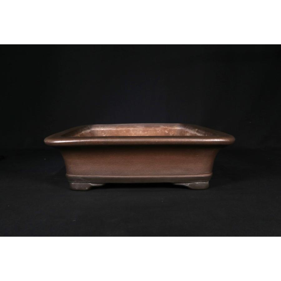 石井盆栽】人気和鉢作家の最高峰 中野行山作「行山紫泥外縁撫角下紐段