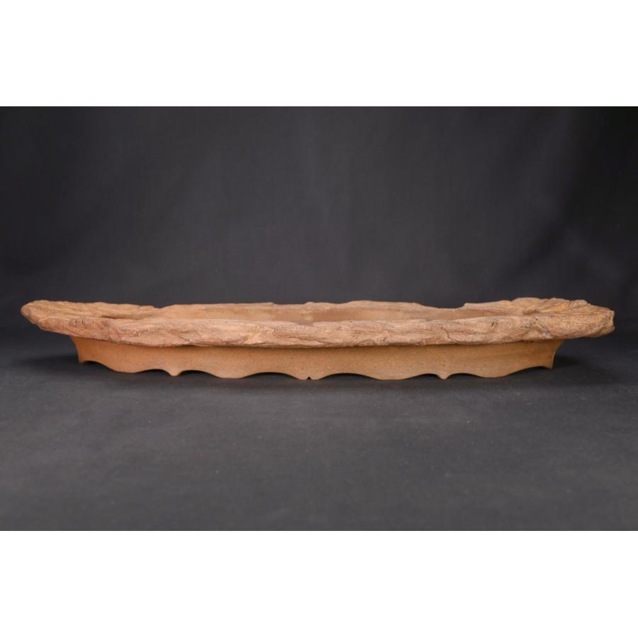 現代小鉢：壱興 長方隅切鉢 19.5cm【現】 | すべての商品 | 遊恵盆栽