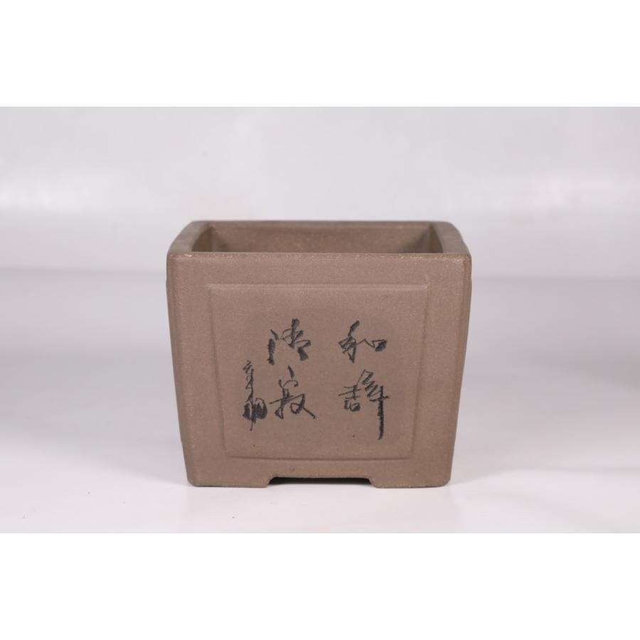 【石井盆栽】人気中国盆器 中国宜興「宜興鳥泥釘彫絵切立切足正方鉢」 : 石井盆栽ヤフー店 - 通販 - Yahoo!ショッピング