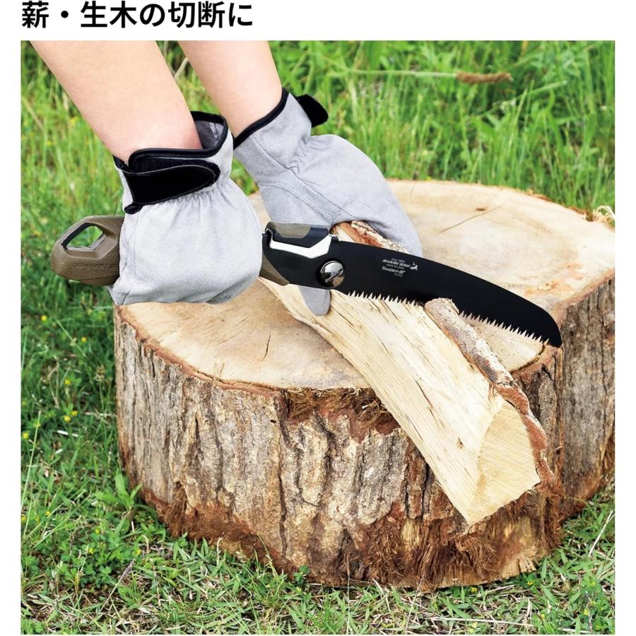 【Pスタン】儀式ルアード デッキ 50枚 + Gゾーン16枚 Pスタン】儀式ルアード デッキ 50枚 + Gゾーン16枚完備 D-SS10