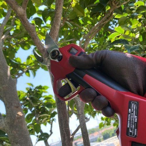 アルス コードレス電動剪定鋏スゴセンライト EP-719 : 石田金物 - 通販