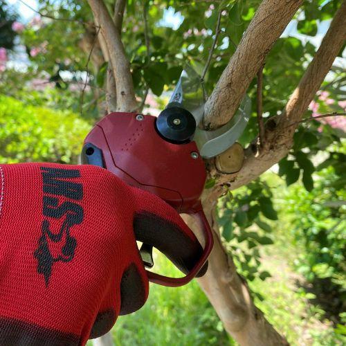 アルス コードレス電動剪定鋏スゴセンライト EP-719 : 石田金物 - 通販