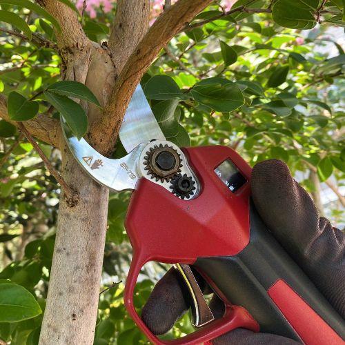 アルス コードレス電動剪定鋏スゴセンライト EP-719 : 石田金物 - 通販