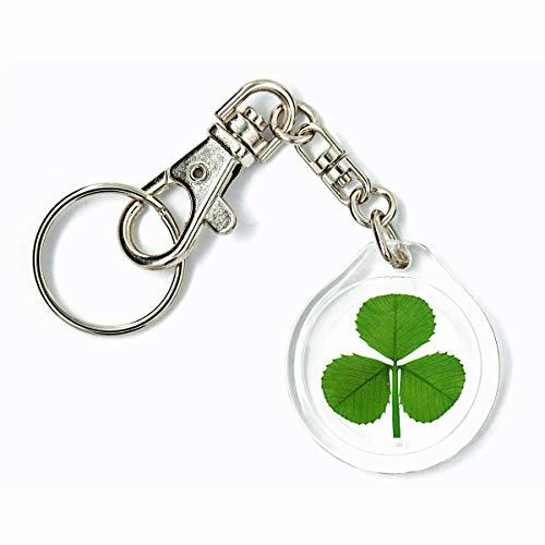 アクリルチャームトリガースナップキーチェーンwith Real Genuineシャムロック B0094JP7MOishikaririver