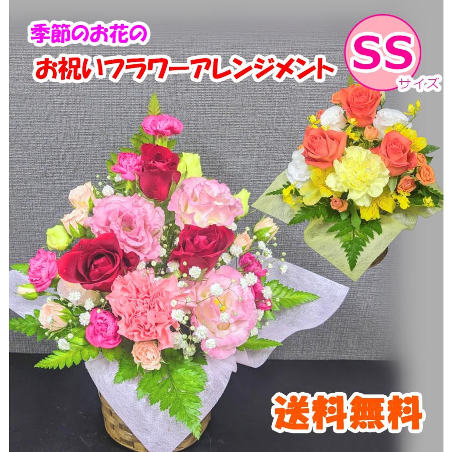 日時指定可】季節のお花 おまかせ お祝い アレンジメント SSサイズ 花