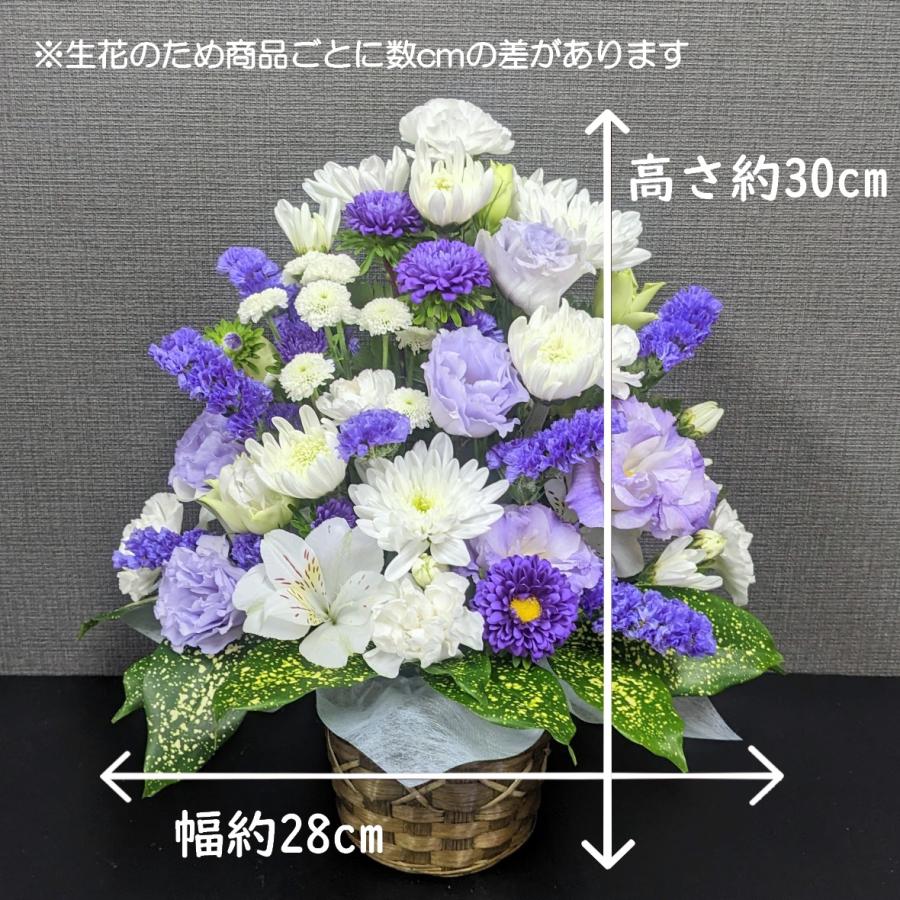 日時指定可】お供え アレンジメント Sサイズ 法事 法要 葬儀 花 生花