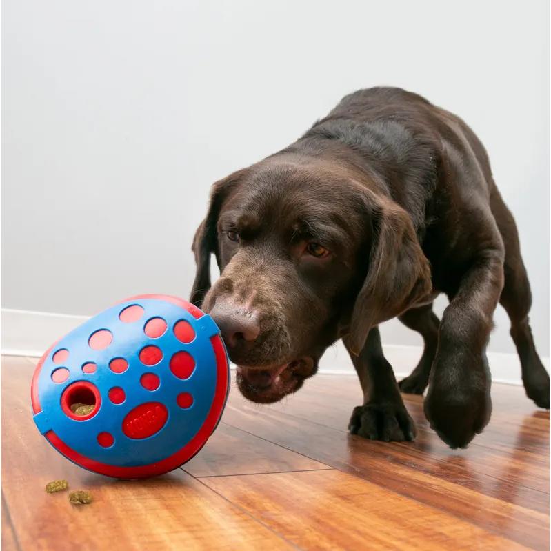 KONG（コング） 中型犬・大型犬向け 知育玩具 リウォーズ ウォリー
