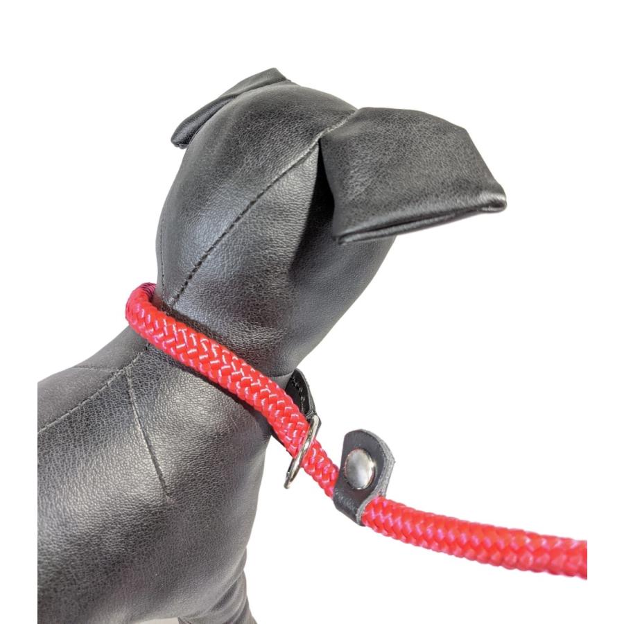 ZOOleszcz) ポーランド ゾーレシチ 犬用リード スリップリード しつけ