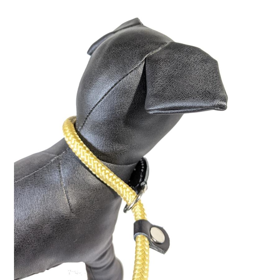 ZOOleszcz) ポーランド ゾーレシチ 犬用リード スリップリード しつけ