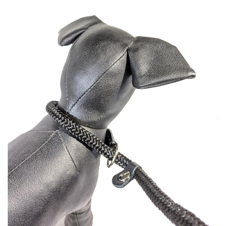 ZOOleszcz) ポーランド ゾーレシチ 犬用リード スリップリード しつけ