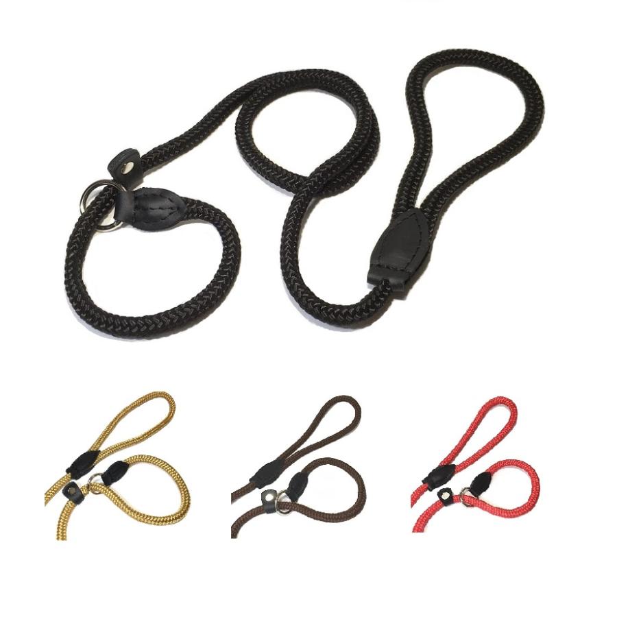 ZOOleszcz) ポーランド ゾーレシチ 犬用リード スリップリード しつけ