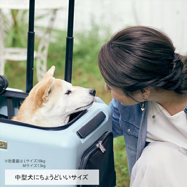 3001-M iCO / PETiCO ペチコ M-サイズ ペットキャリー : 石川トランク