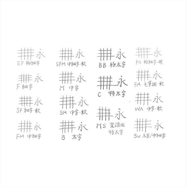 パイロット エラボー ライトブルー 万年筆 SEF(極細字?軟)/SF(細字?軟