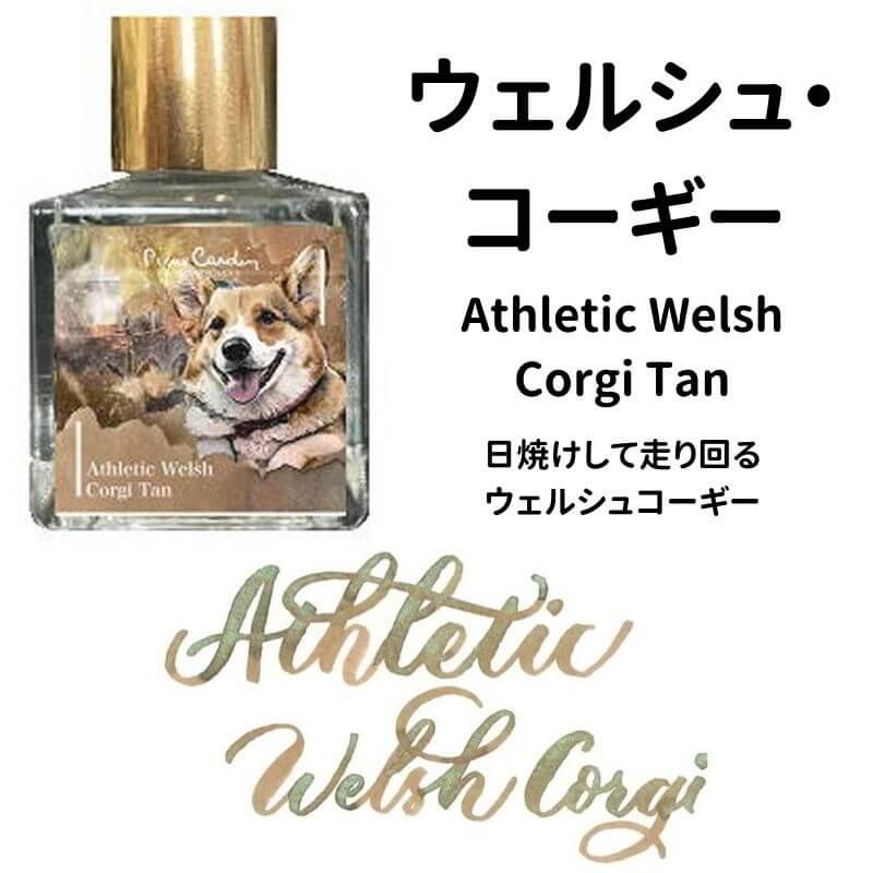ピエール・カルダン Piere Cardin Color of Dogasy 2 : 石丸文行堂
