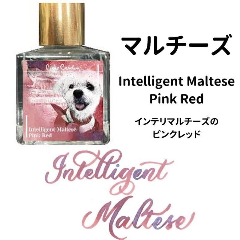 ピエール・カルダン Piere Cardin Color of Dogasy 2 : 石丸文行堂